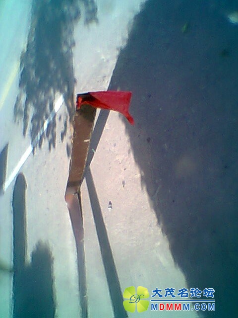 Ƭ0306.jpg