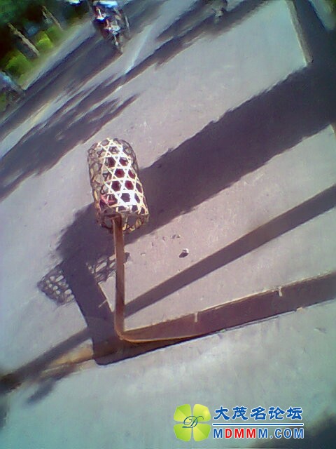 Ƭ0307.jpg