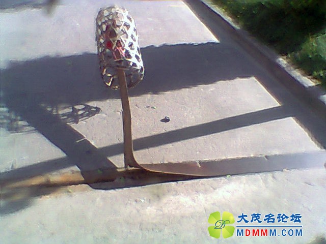 Ƭ0309.jpg