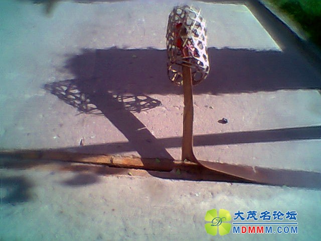 Ƭ0310.jpg