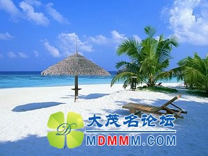 20080415162751597.jpg