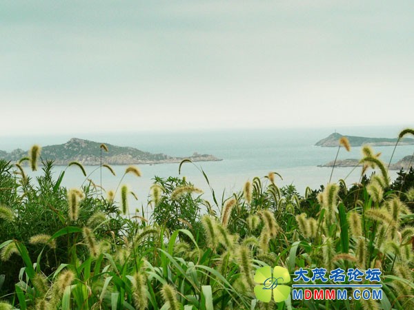 Re_201007051723594551.jpg
