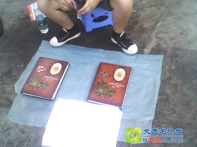IMG0221A.jpg