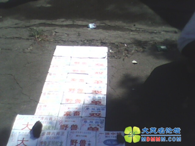 IMG0225A.jpg