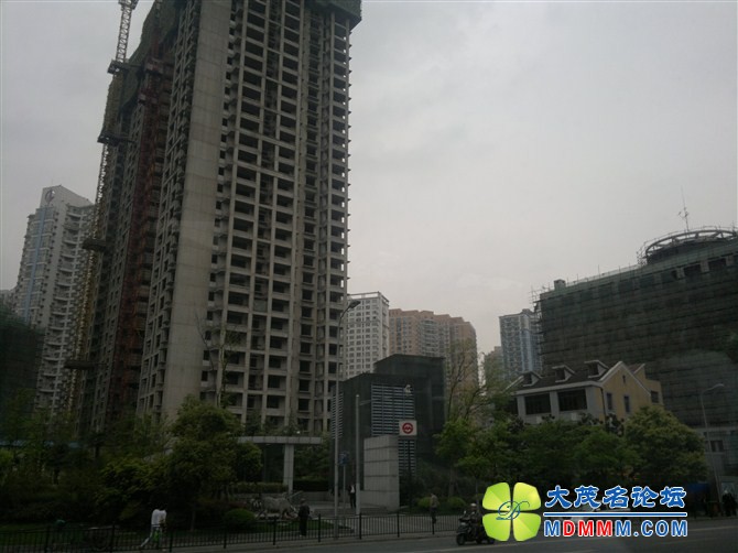 psbe2947.jpg
