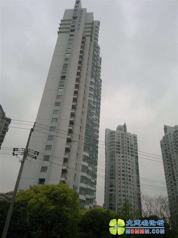 psbe2953.jpg
