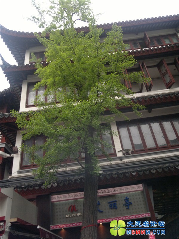 psbe2958.jpg