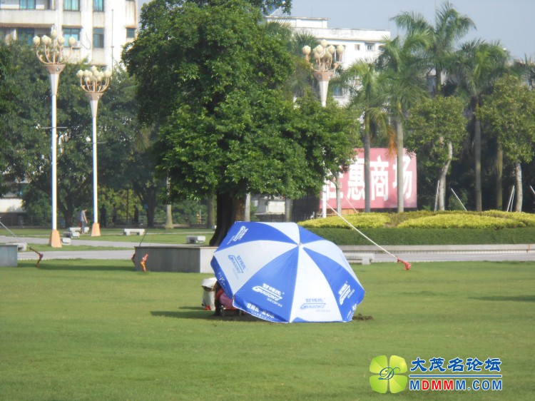 DSCN0198.jpg