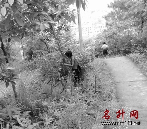 20120802105515546.jpg