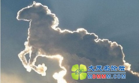 Ǹ3.jpg