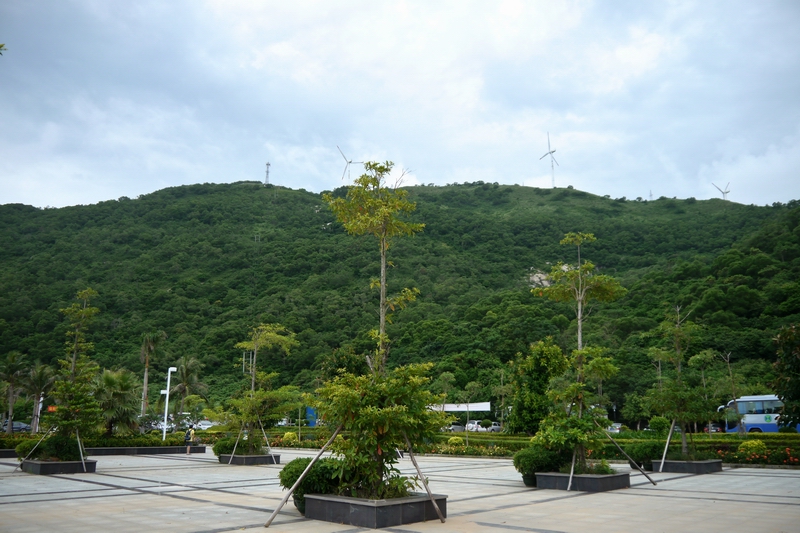 P1060761.jpg