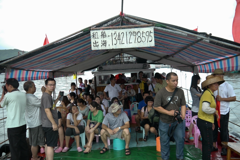 P1060779.jpg