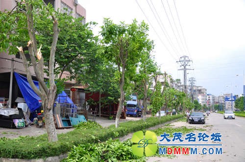 1125AAFF@9DD2C548_E0BD2C50.jpg
