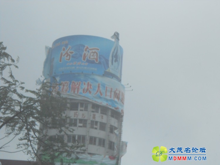 DSCN0310.jpg