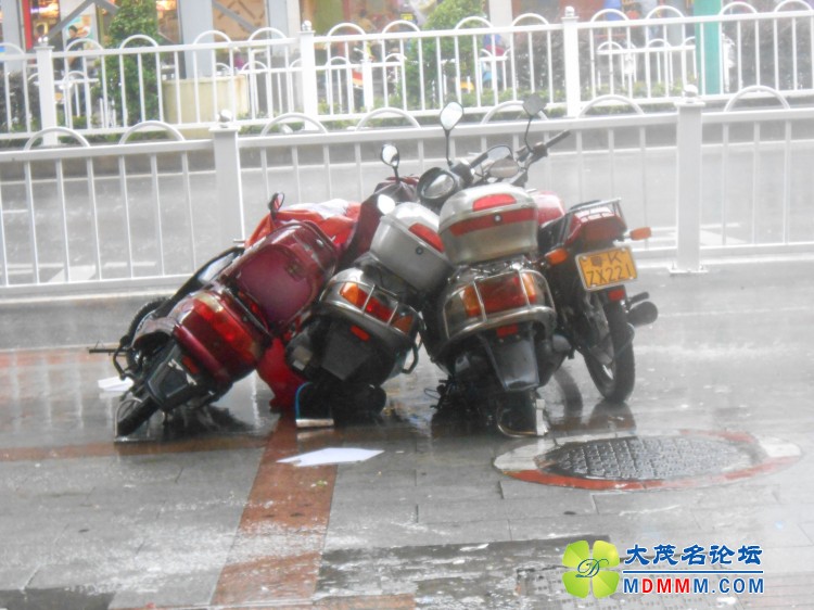 DSCN0330.jpg