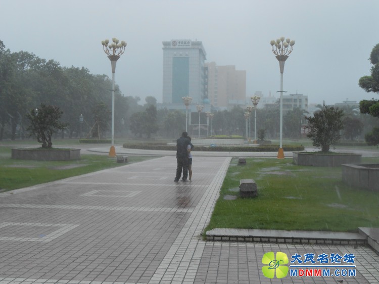 DSCN0308.jpg