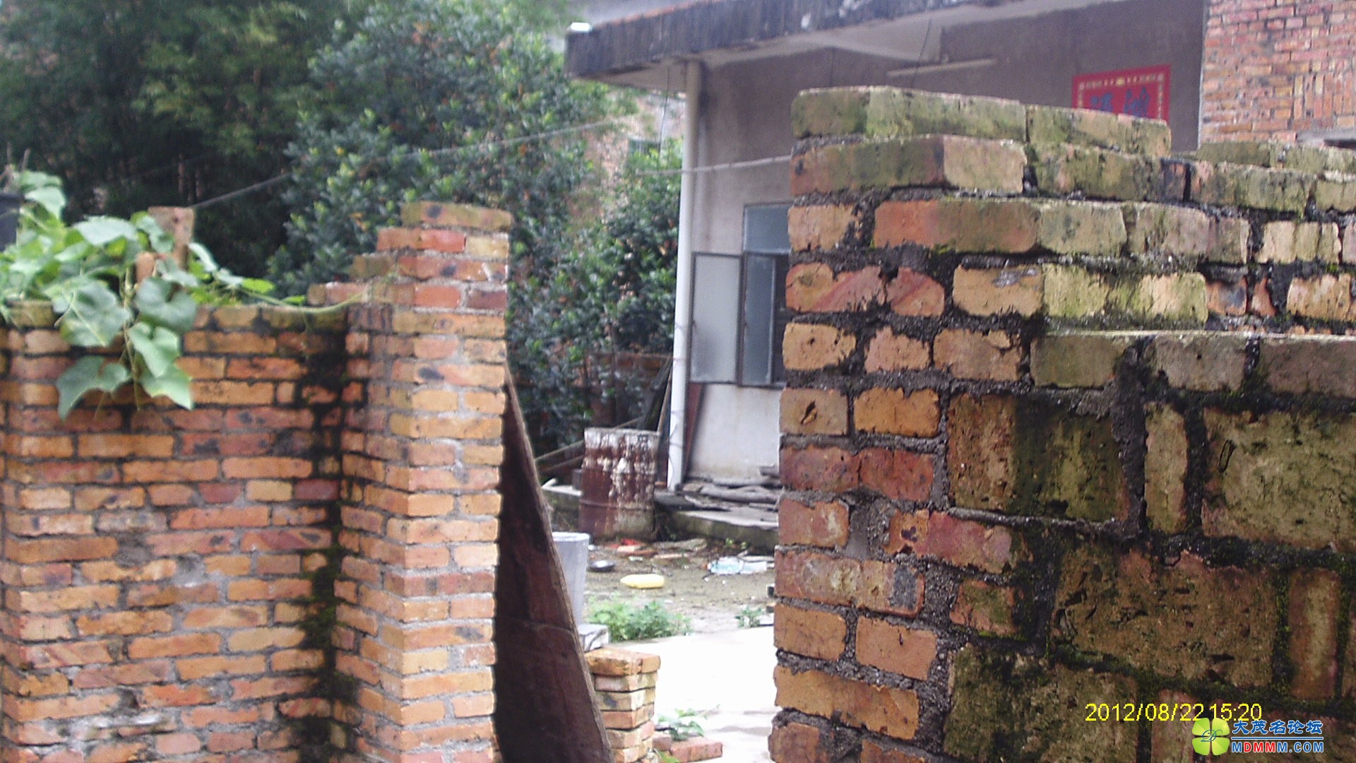 IMAG0019.JPG