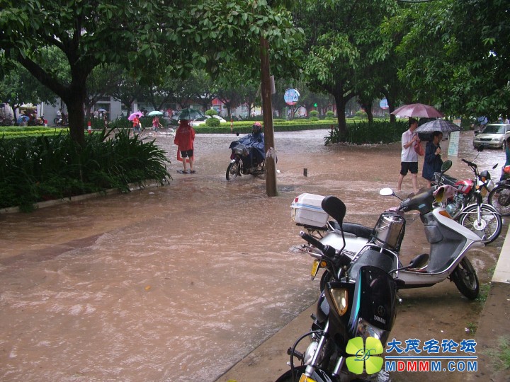 DSCF3959.jpg