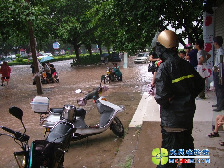 DSCF3955.jpg