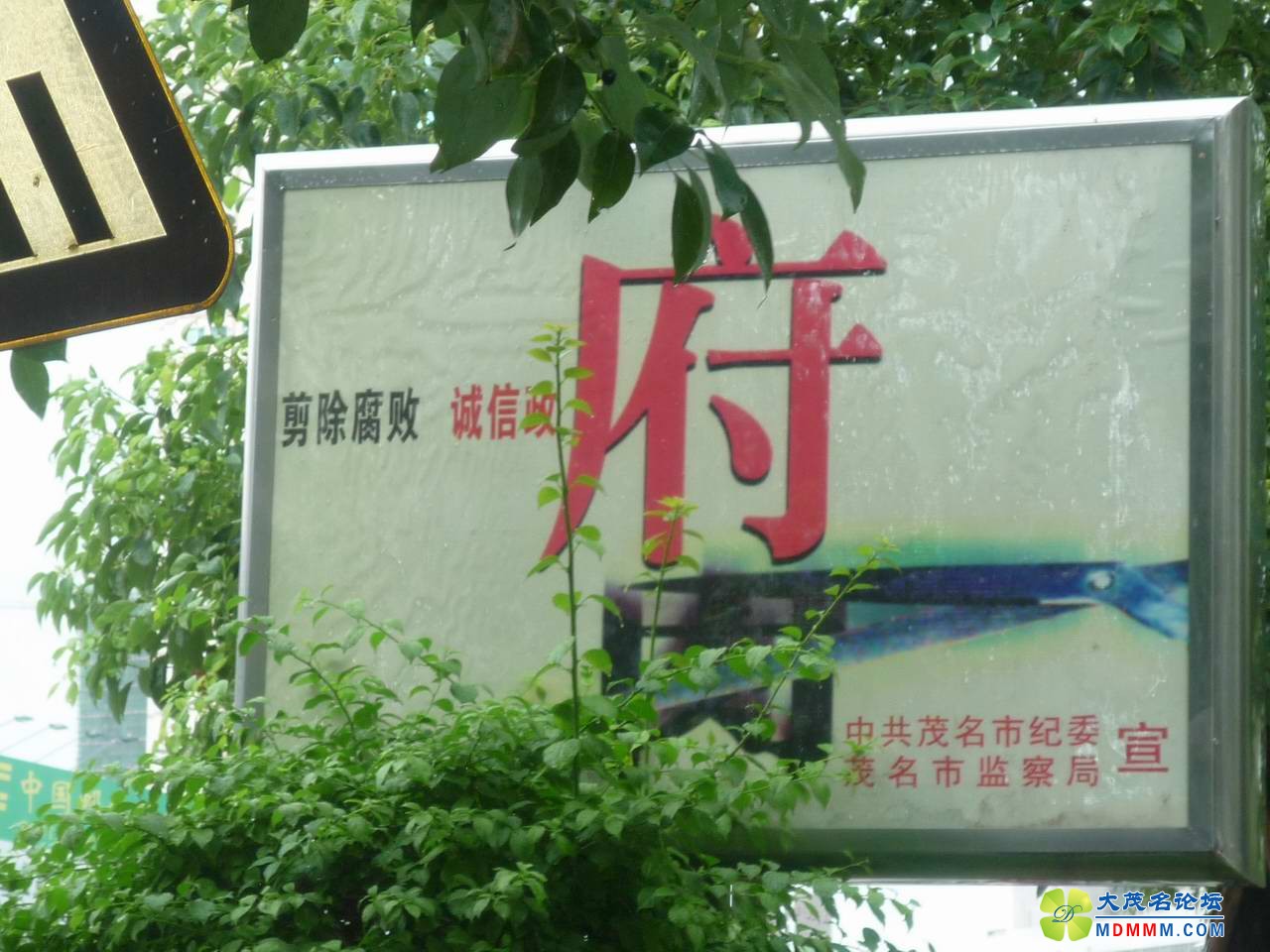 2.JPG