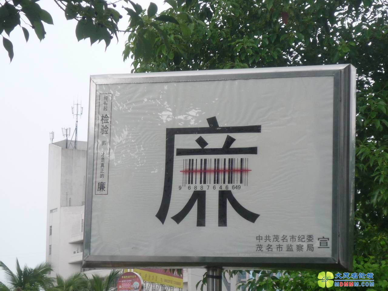 4.JPG