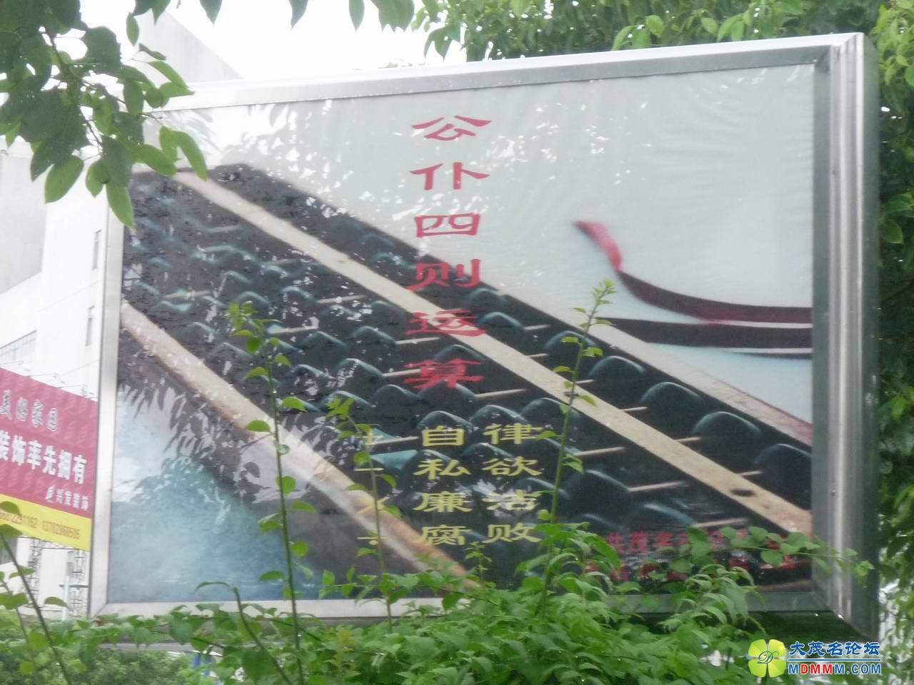 5.JPG