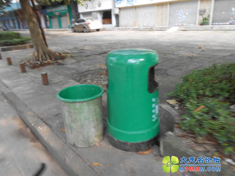 DSCN0397.jpg