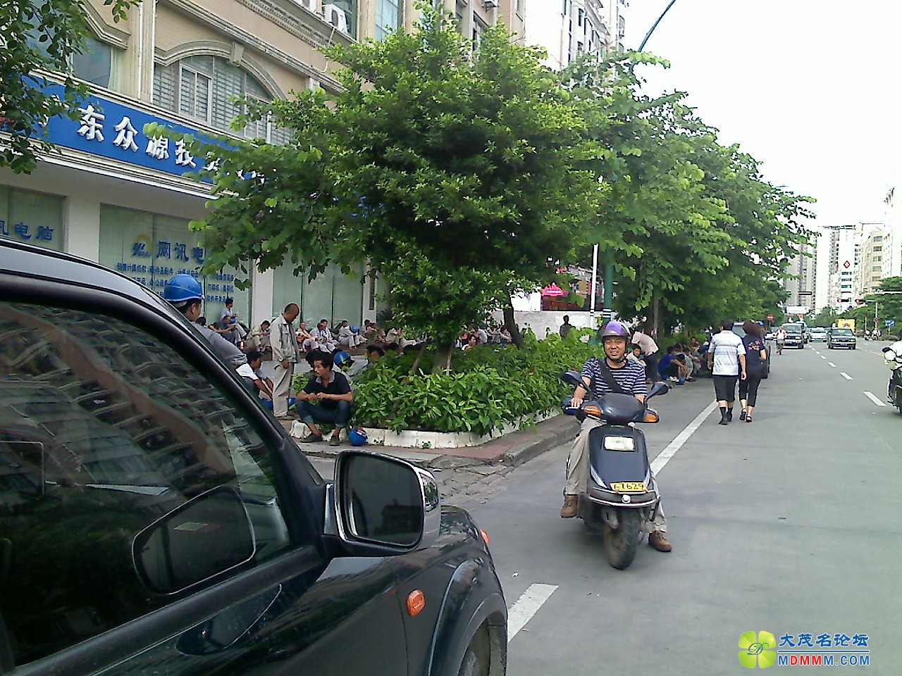 YP000214.jpg