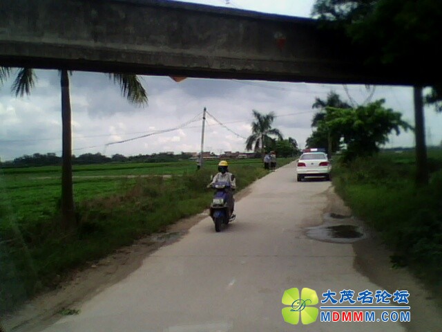 IMG0247A.jpg
