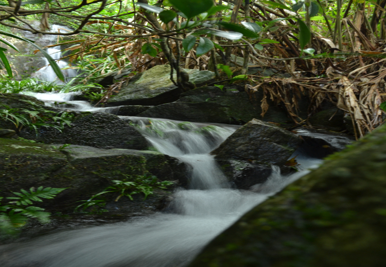 DSC_0632.jpg