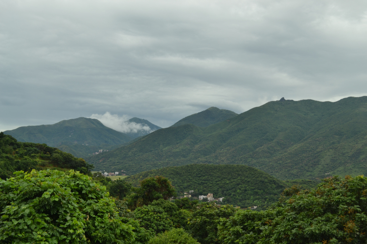 DSC_0066.jpg