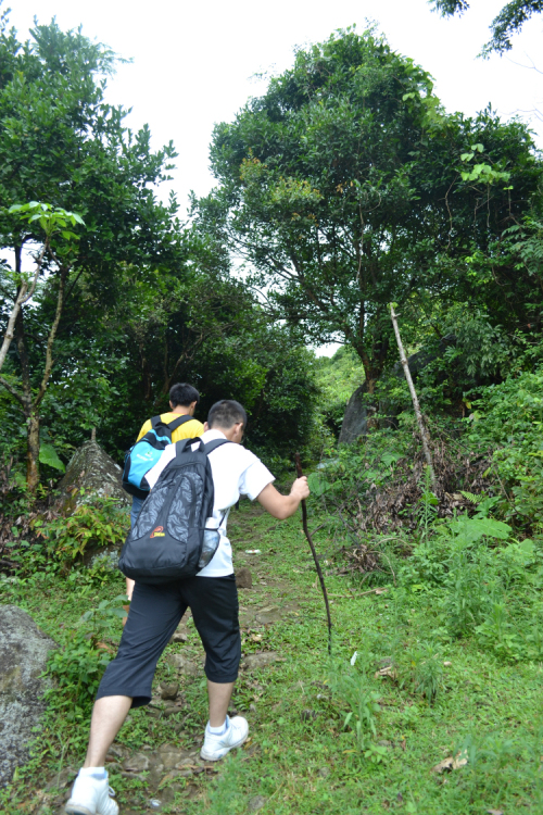 DSC_0198.jpg
