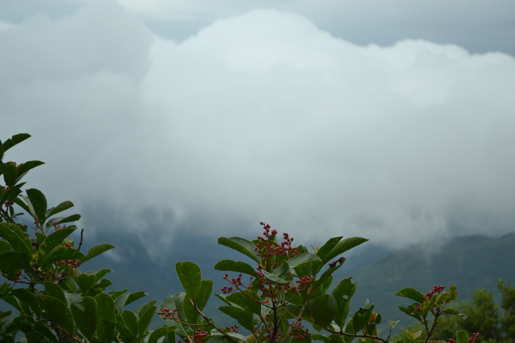 DSC_0223.jpg