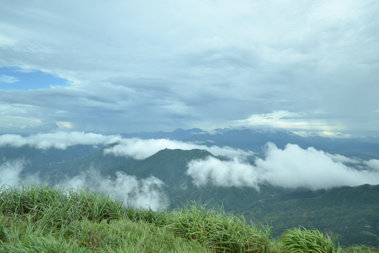 DSC_0334.jpg