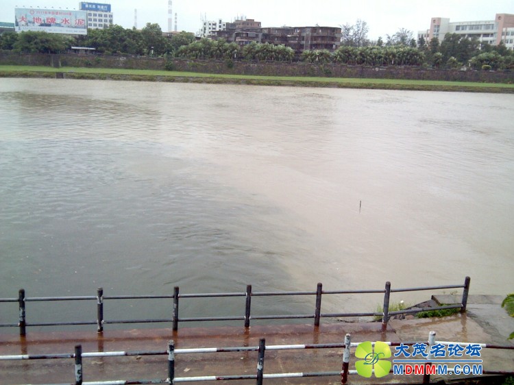 IMG_20120817_125553.jpg