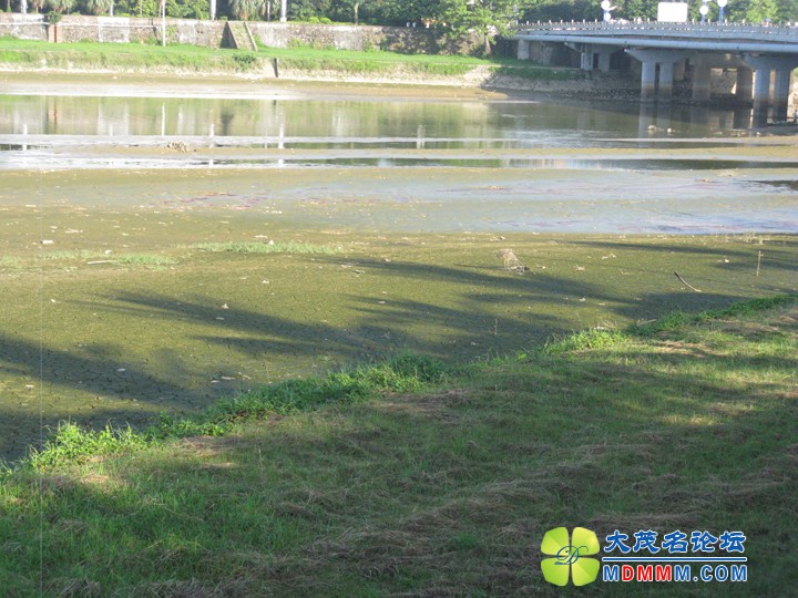 Ƭ 044.jpg