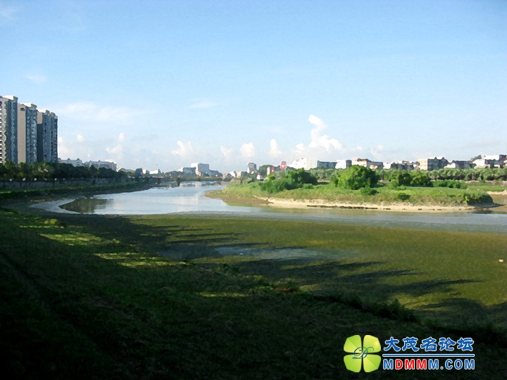 Ƭ 040.jpg