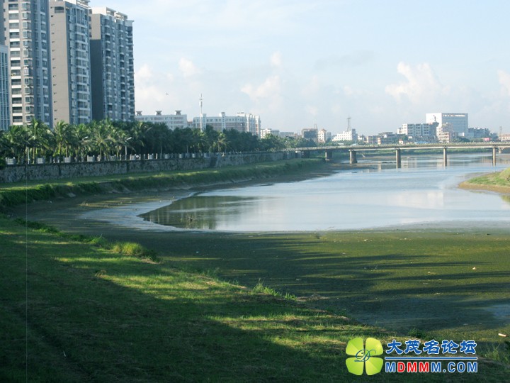Ƭ 042.jpg