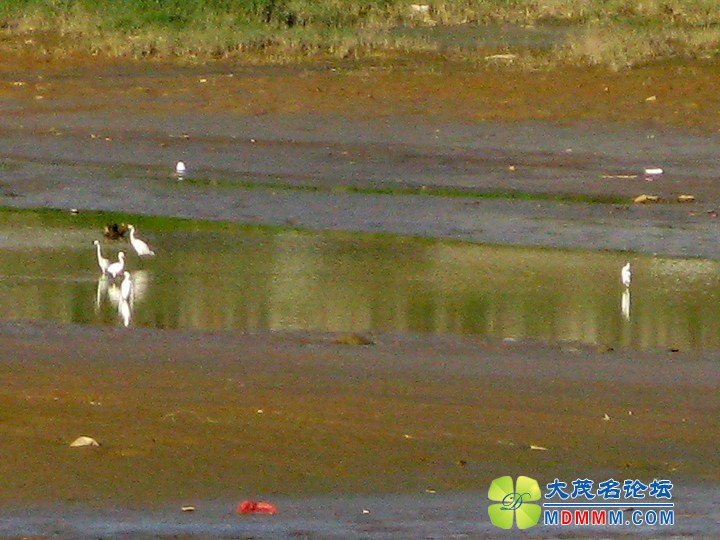 Ƭ 046.jpg