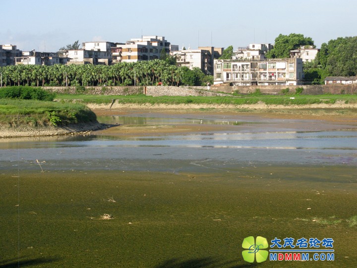 Ƭ 050.jpg