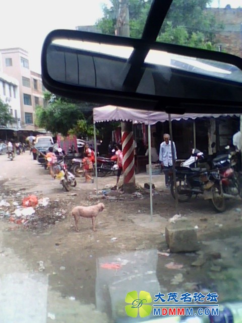 IMG0253A_ת.jpg