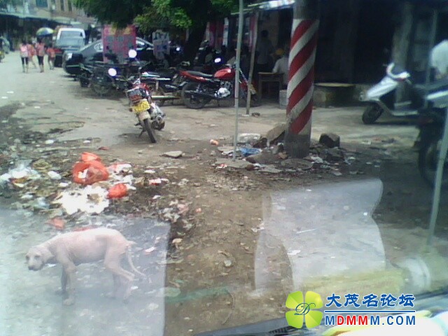 IMG0254A.jpg
