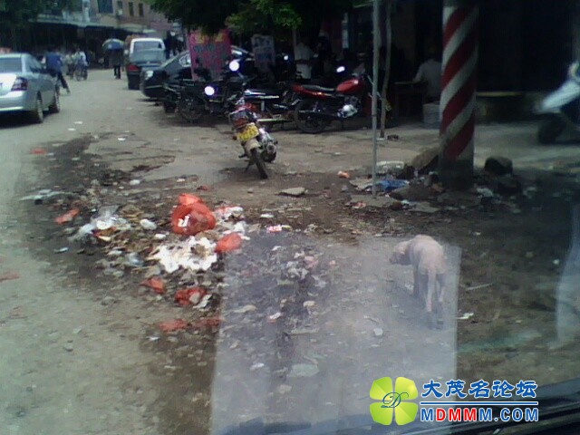 IMG0255A.jpg