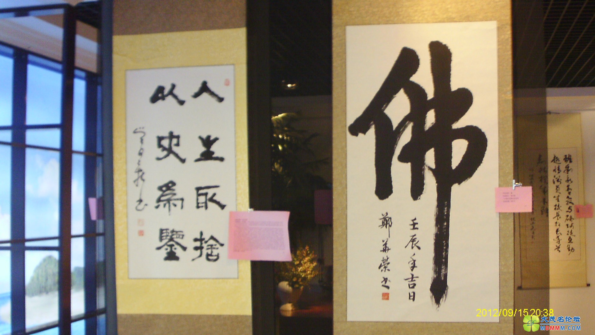 IMAG0016.JPG