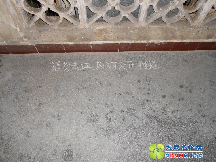 DSCN0460.jpg