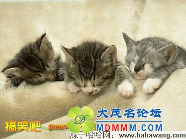 20081111_4dffbd1cbd850707b741xwrSv1H5Cu2z.jpg