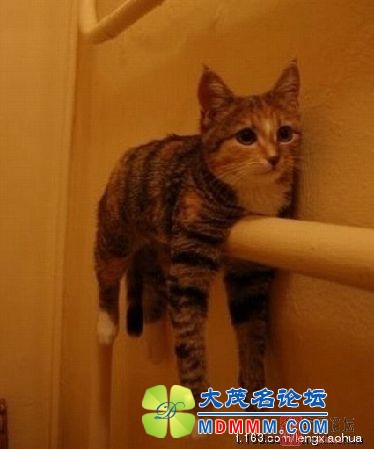 201052211505970925.jpg