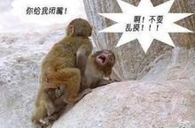 u=1671032946,3345453477&fm=52&gp=0.jpg