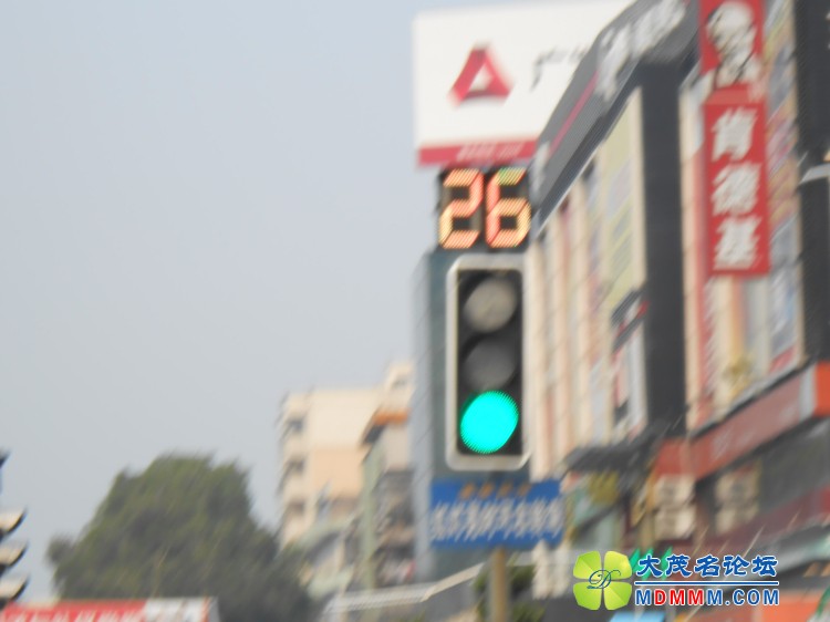 DSCN0595.jpg