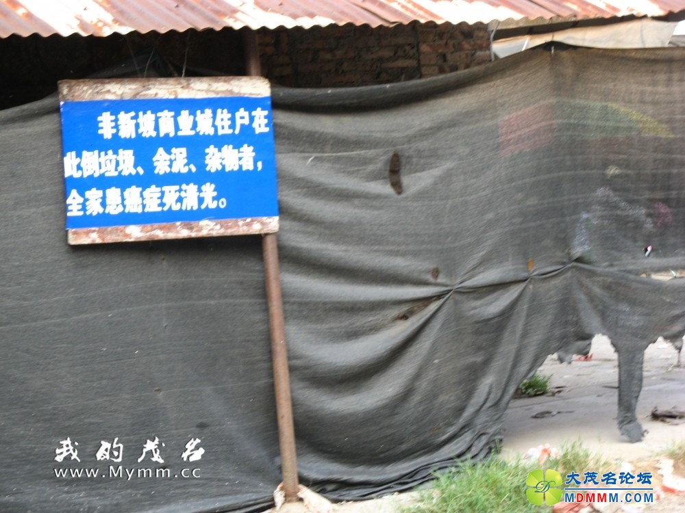 185308hcq0xqotoqeemmtj.jpg